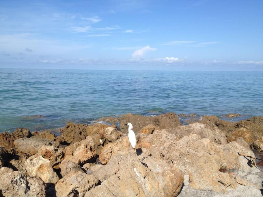 Vacation Home On Alligator Drive Woodmere 外观 照片